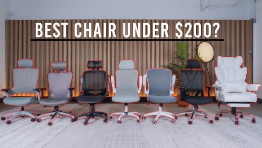 Ergo Chair Available on Amazon: Find the Best Ergonomic Seating Solutions